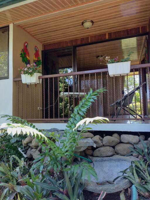Eco Villas Tambor Tucanes Екстериор снимка