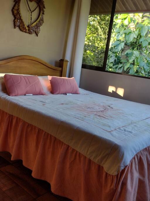 Eco Villas Tambor Tucanes Екстериор снимка