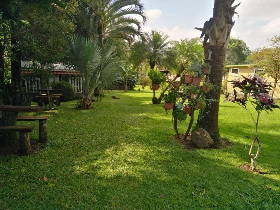 Eco Villas Tambor Tucanes Екстериор снимка